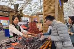 Behind every product bearing a geographical indication is the brand of a land and the lives of those who directly create it. (Photo: AN NGUYEN)