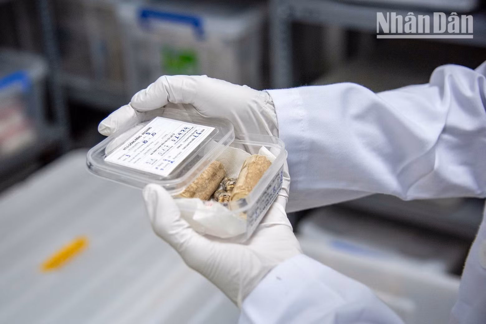 Upon receipt, each sample is stored in the repository and assigned a unique identification code, which is integrated into a digital management system.