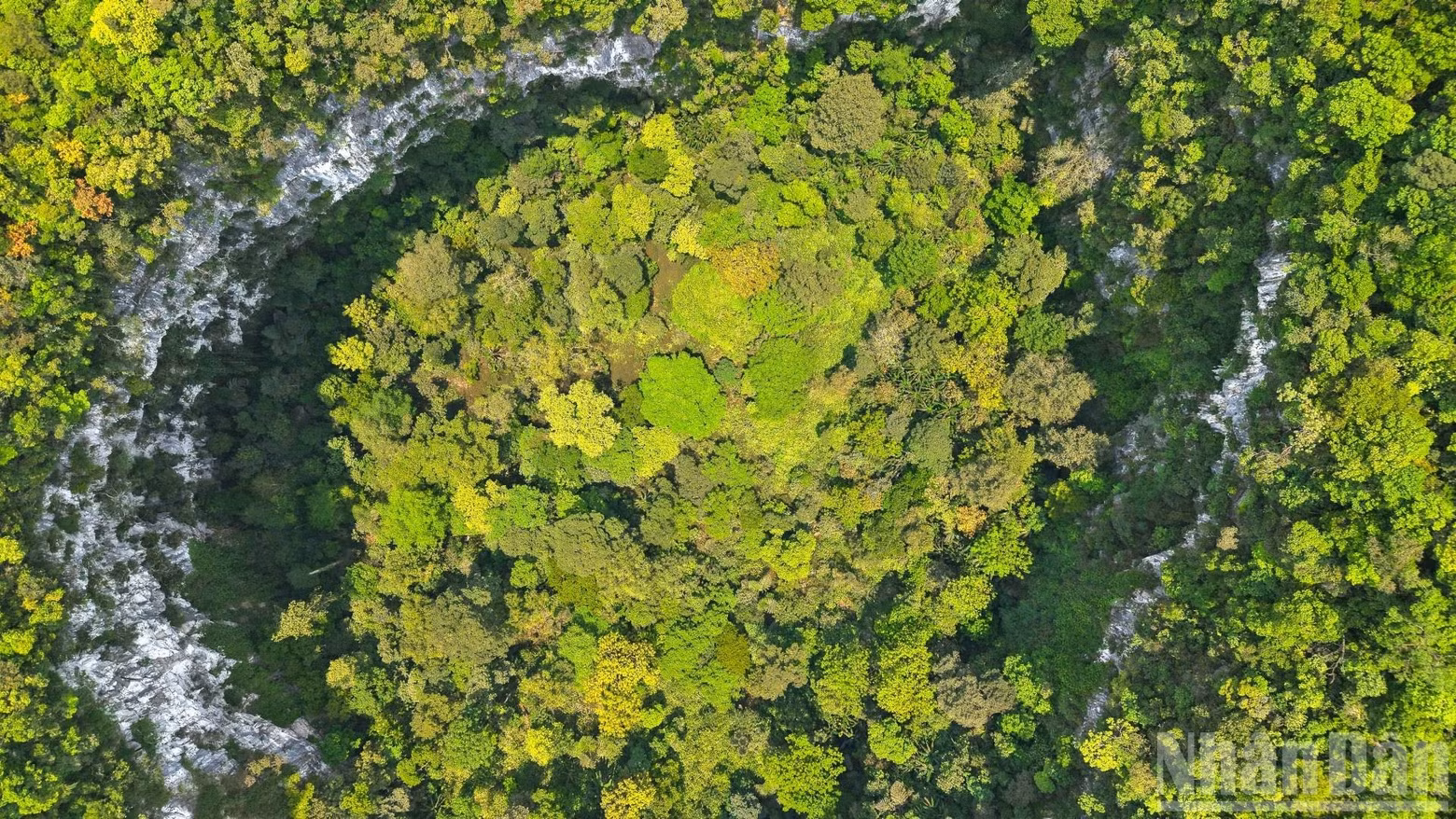 The discovery of the sinkhole provides further evidence of the formation and evolution of ancient ecosystems in the heritage area over millions of years.