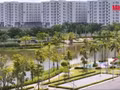 [Video] Over 5 billion USD in foreign capital flows into Viet Nam’s real estate sector
