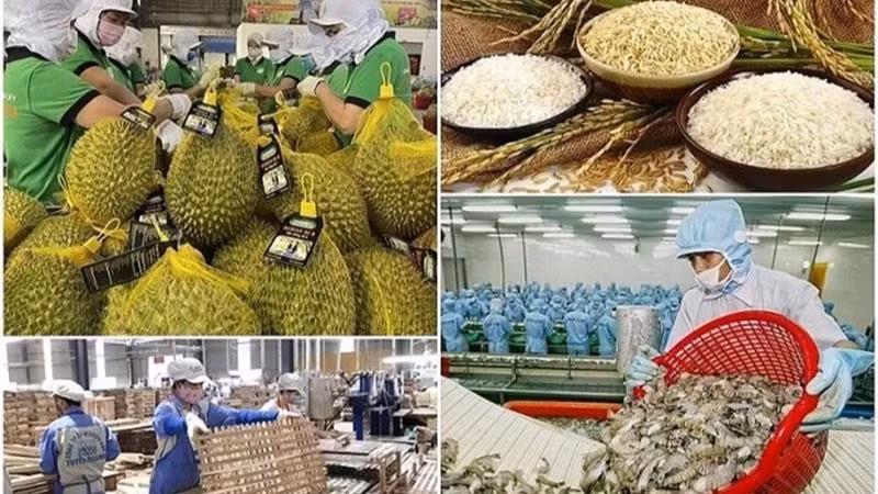 The agricultural sector is targeting a total export turnover of 65 billion USD in 2025.