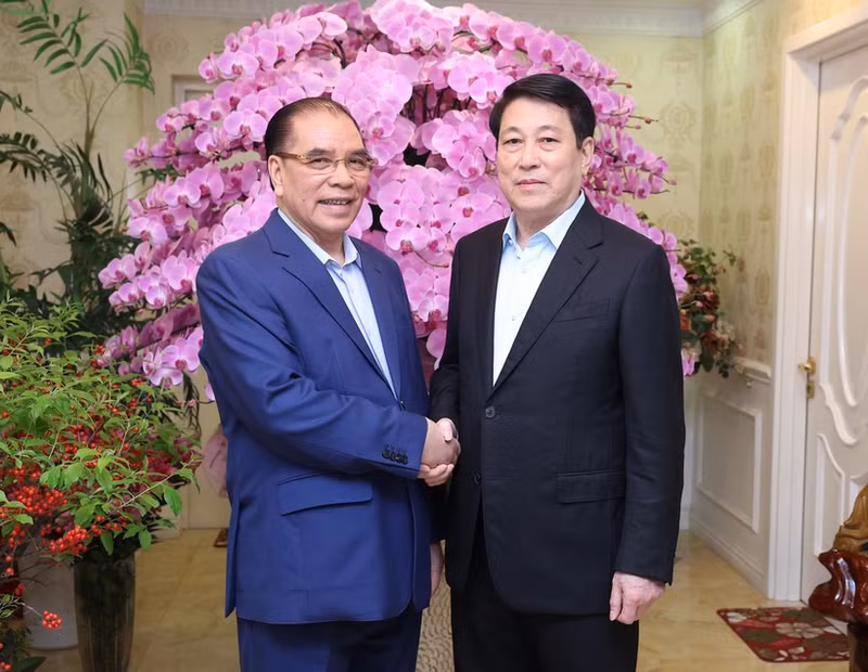 State President Luong Cuong (R) and former Party General Secretary Nong Duc Manh in Ha Noi on February 2. (Photo: VNA)