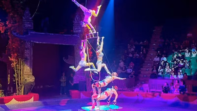 A performance by artists of the Viet Nam Circus Federation.