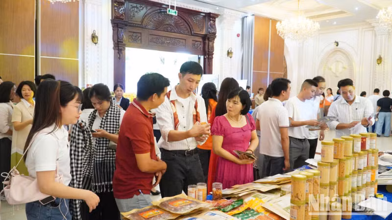 More than 30 Ha Noi businesses have participated in trade promotion activities, surveys and field visits to explore investment opportunities in Can Tho. (Photo: VAN UT)