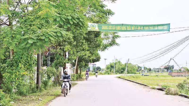 Rural transport roads in Phuc Hoa Commune (Bac Ninh) are synchronously invested under the new rural development programme. (Photo: BAO LONG)