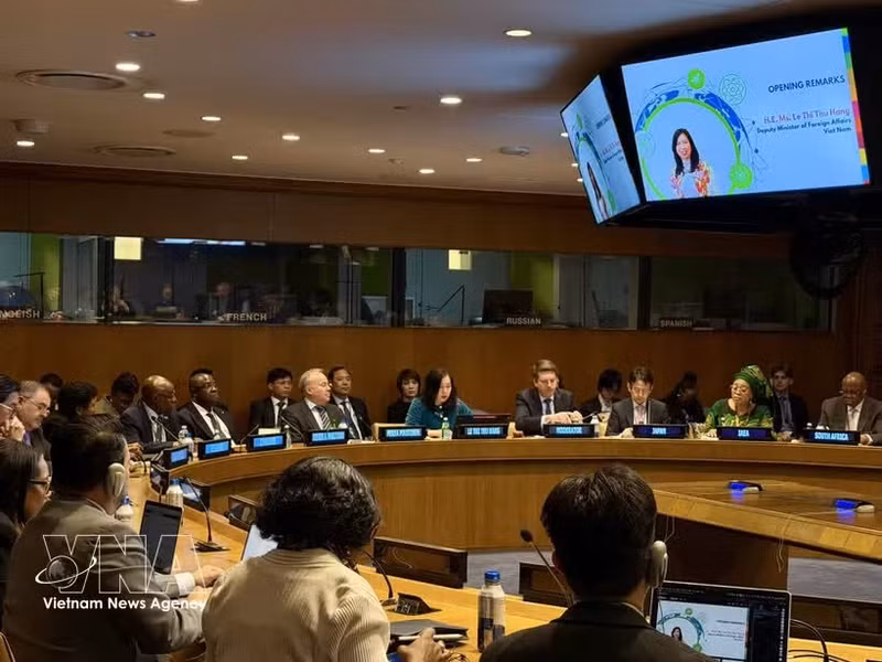 Deputy Minister of Foreign Affairs Le Thi Thu Hang, head of the Vietnamese delegation to the 11th NPT Review Conference, addresses the roundtable discussion on April 29. (Photo published by VNA)