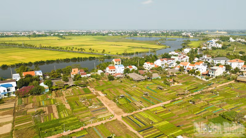 ndo-br-8.jpg
