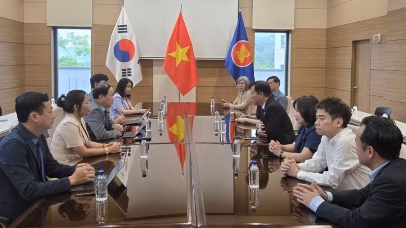 Overview of the working session.