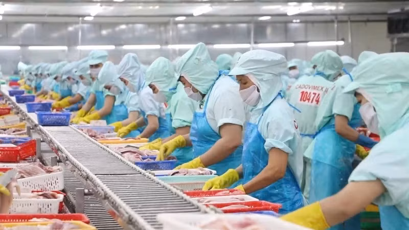 New-generation FTAs open wider export opportunities to Middle East and South Asia