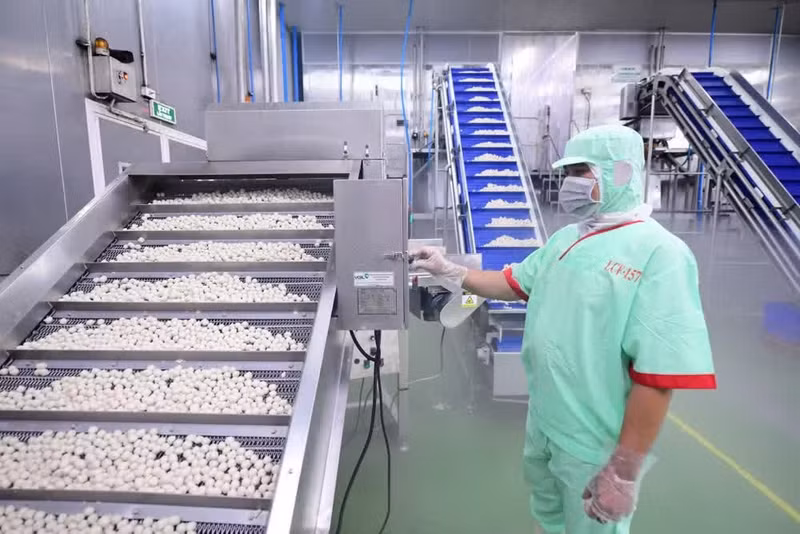 lc-foods-day-chuyen-ca-vienjpg.jpg