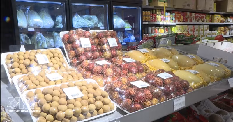 Viet Nam's fresh fruits sold at a supermarket in France. Bilateral trade reached 6.3 billion USD in 2025, up 16.4% year on year, and hit 3.66 billion USD in the first six months of 2026, representing a sharp increase of 26.4% compared with the same period last year. (Photo: VNA)