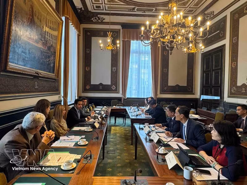 An overview of the meeting between representatives from the National Assembly’s Committee on Cultural and Social Affairs and the Belgian Chamber of Representatives’ Committee on Justice. (Photo: VNA)