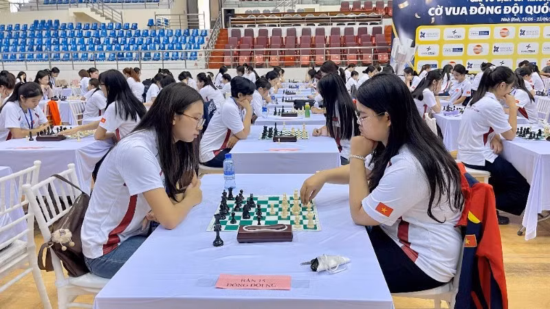 More than 550 chess players compete at 2026 National Team Chess Championship in Ninh Binh