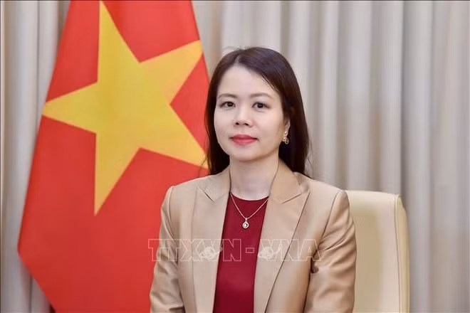 Deputy Minister of Foreign Affairs Nguyen Minh Hang (Photo published by VNA)