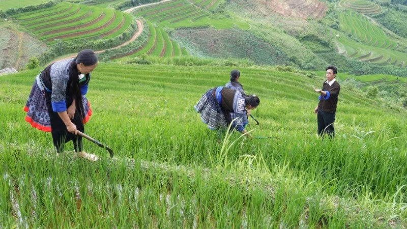 Lu A Do (R) instructs locals to cultivate rice on terraced fields.