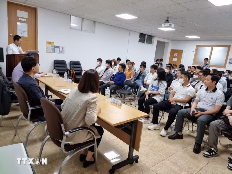 Legal awareness training is provided to Vietnamese workers in the Republic of Korea. (Photo: VNA)