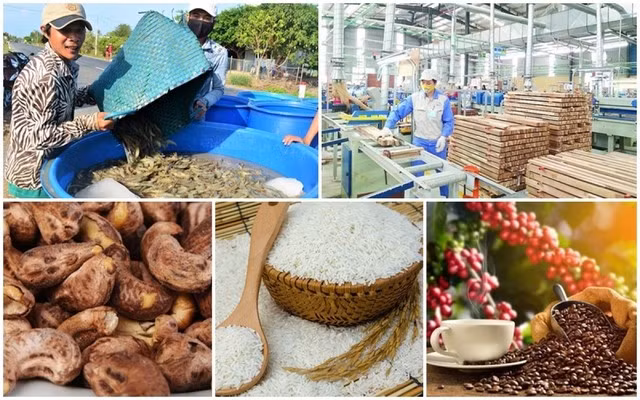 Agro-forestry-fishery exports rise 6% in first half of 2026 (Photo: VGP)