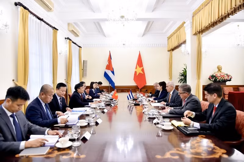 At the political consultation (Photo: VNA)
