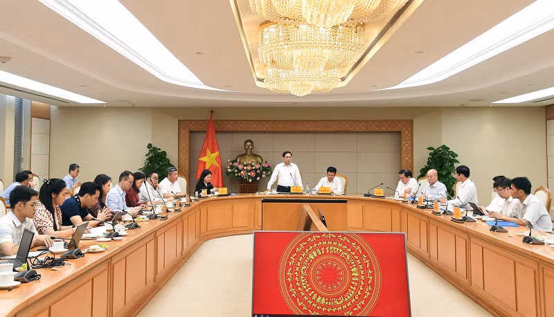 Deputy Prime Minister Bui Thanh Son speaks at the meeting (Photo: VGP)