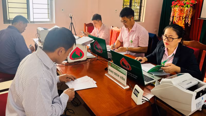 imagehong-anh.jpg