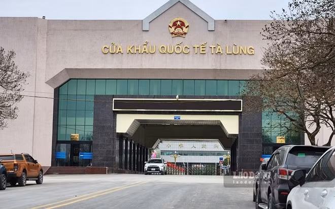xuat-nhap-khau-2.jpg