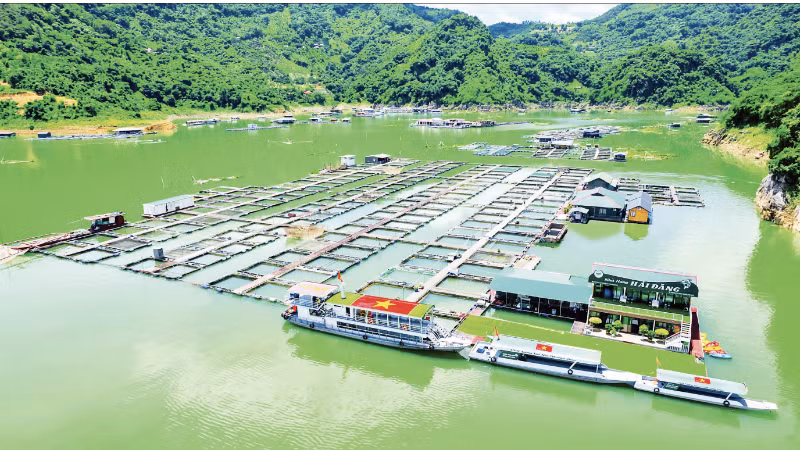 A fish farm on the Da River reservoir, Phu Tho province. (Photo: HAI DANG) 