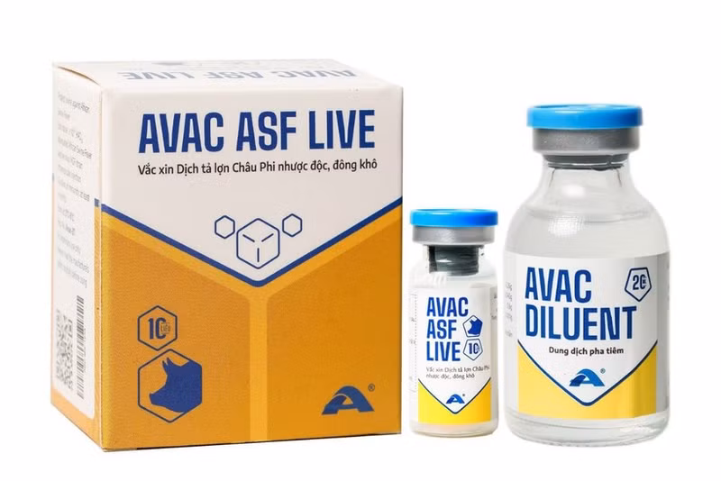 AVAC ASF LIVE vaccine developed and manufactured by AVAC Viet Nam Joint Stock Company. (Photo: avac.com.vn)