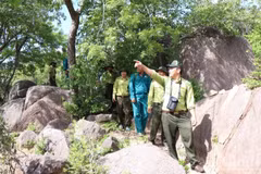 Forest protection personnel at Nui Chua-Phuoc Binh National Park in Khanh Hoa Province set out to patrol the forest areas under the unit’s management. (Photo: NGUYEN TRUNG)