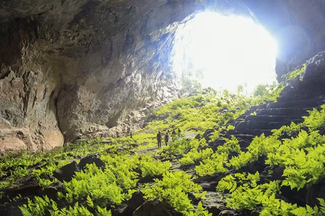 Quang Binh opens tours to world's 4th largest Pygmy Cave ảnh 3 Quang Binh opens tours to world's 4th largest Pygmy Cave ảnh 3