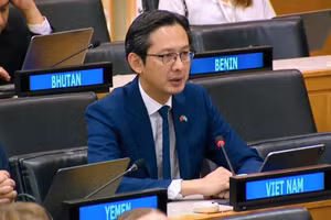 Ambassador Do Hung Viet, Permanent Representative of Viet Nam to the United Nations, speaks at the general debate of the UN General Assembly’s Second Committee (Economic and Financial Committee) in New York. (Photo: VNA)