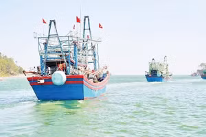 More than 80,300 fishing vessels are currently registered nationwide, with their information updated in the national fisheries database. (Illustrative photo: TRAN TRUNG HIEU)