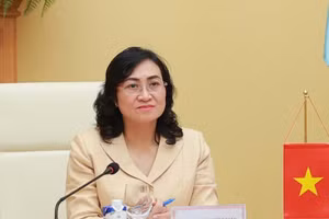 Deputy Minister of Industry and Trade Phan Thi Thang.