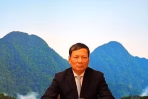 Hoang Dinh Thang, Chairman of the Union of Vietnamese Associations in Europe and member of the Presidium of the Vietnam Fatherland Front Central Committee (Photo: VNA)
