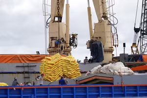 Rice is transported at a company’s port in Ho Chi Minh City. (Photo: DUC AN)