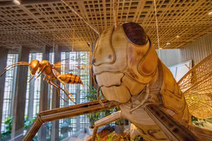 The “Soul of Bamboo from Hoi An” exhibition opens up a vibrant world of bamboo installation art, harmoniously combining the pieces with lush green miniature landscapes and contemporary architectural lighting at the Da Nang Museum.