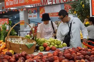 International tourists shop at Lotte Mart supermarket in Da Nang. (Photo: VNA)