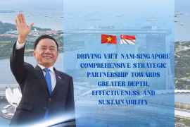 Driving Viet Nam-Singapore Comprehensive Strategic Partnership towards greater depth, effectiveness and sustainability