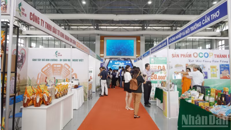 Can Tho needs to step up technology transfer to provide a foundation for the development of key agricultural products and OCOP products. (Photo: VAN UT)