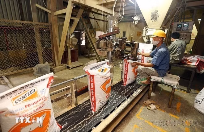 A production and packaging line for animal feed at the Phuc Khanh Industrial Park branch of Indonesian-invested Rapfa Confeed Viet Nam Co., Ltd. (Photo: VNA)