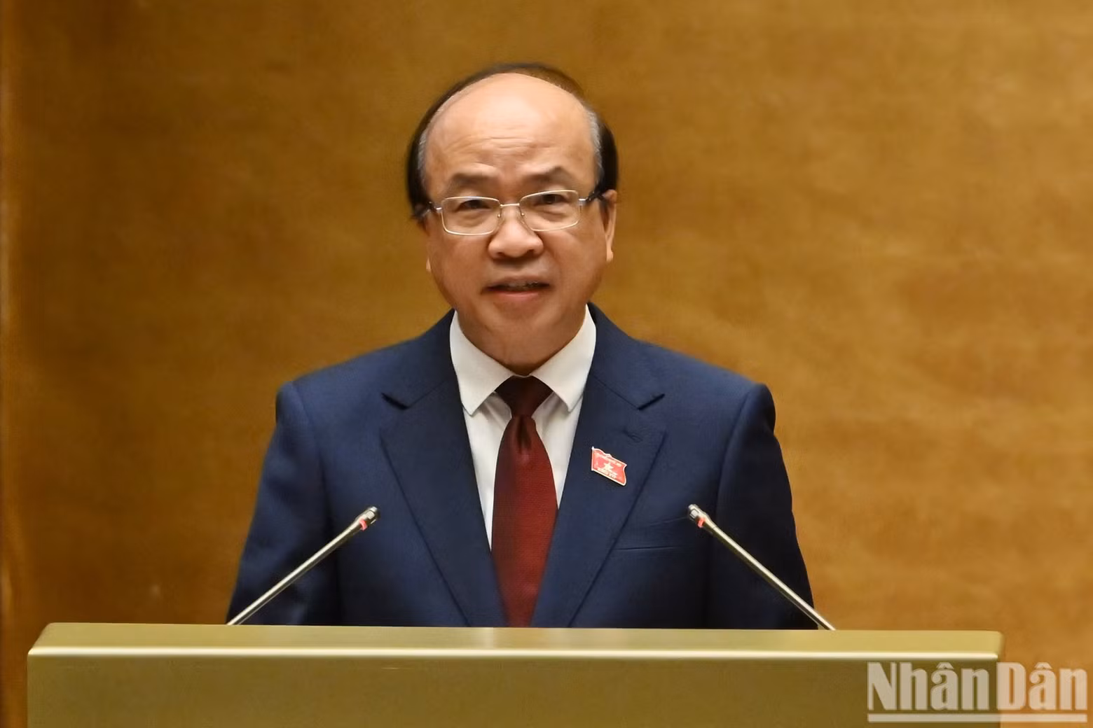 Chairman of the National Assembly's Committee for Legal and Judicial Affairs Phan Chi Hieu delivered the committee's verification report on the draft laws.