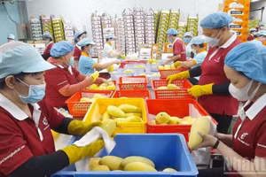 The private sector is “an important driving force of the socialist-oriented market economy”. (Photo: THANH PHONG)