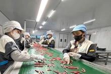Private enterprises have invested in advanced agricultural processing lines to boost productivity and raise the value of exported goods.
