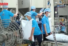 Video: Viet Nam tops global rice price rankings for equivalent grade