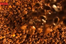 Video: Vietnamese coffee benefits from world prices, reaches 2-week peak