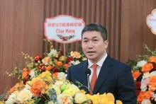 Phan Anh Son, President of the VUFO, speaks at the congress (Photo: VNA)