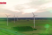 Video: Net Zero – Journey towards green future