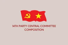 Infographic: Composition of the 14th Party Central Committee
