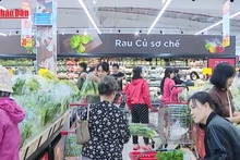 Video: Ha Noi stimulates year-end consumption through modern retail system