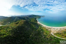A small corner of Thanh Lan’s endless green, seen from above.