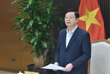 Deputy Prime Minister Mai Van Chinh addresses the event. (Photo: VGP)